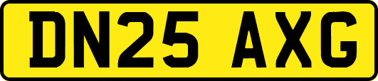 DN25AXG
