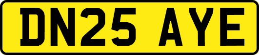 DN25AYE