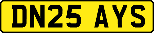 DN25AYS