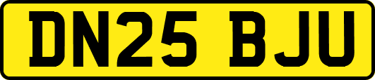 DN25BJU