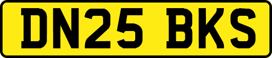 DN25BKS