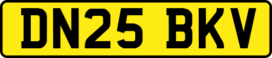 DN25BKV