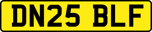 DN25BLF