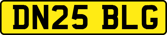DN25BLG