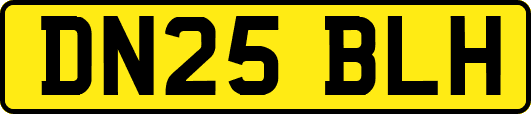 DN25BLH