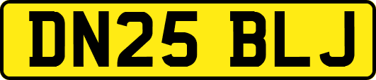 DN25BLJ