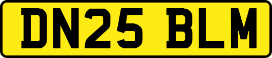 DN25BLM
