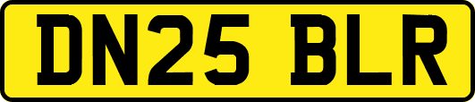 DN25BLR