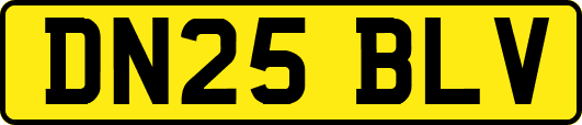 DN25BLV