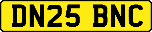 DN25BNC