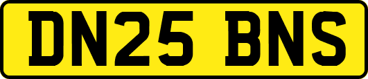 DN25BNS