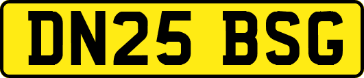 DN25BSG