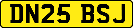DN25BSJ
