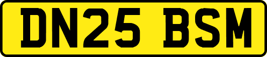DN25BSM