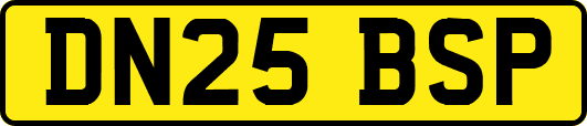 DN25BSP