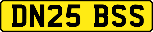 DN25BSS
