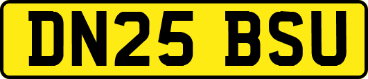 DN25BSU