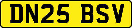 DN25BSV