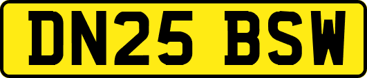DN25BSW
