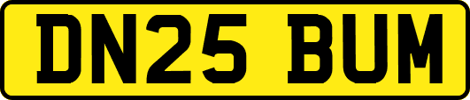 DN25BUM