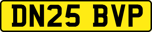 DN25BVP