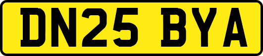 DN25BYA
