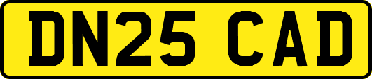 DN25CAD