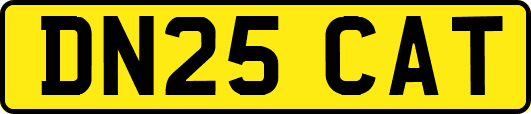 DN25CAT