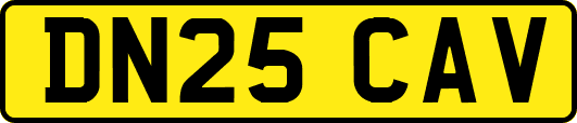 DN25CAV