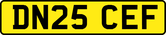 DN25CEF