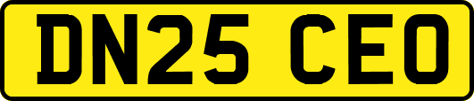 DN25CEO