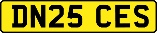 DN25CES