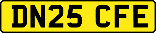 DN25CFE