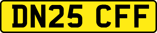 DN25CFF