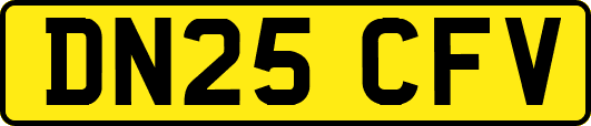 DN25CFV