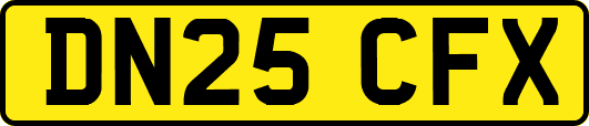 DN25CFX