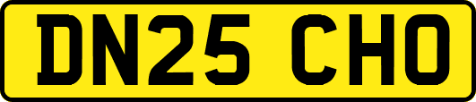 DN25CHO