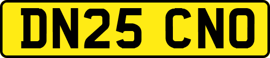 DN25CNO
