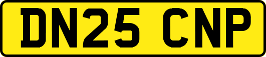 DN25CNP