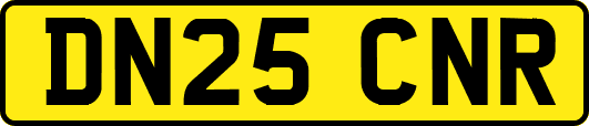 DN25CNR