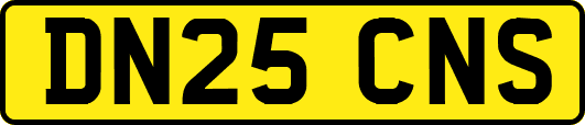DN25CNS