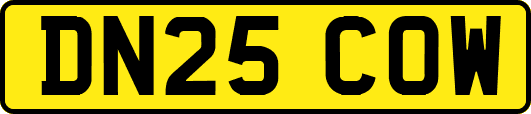 DN25COW