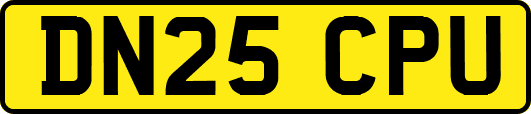 DN25CPU