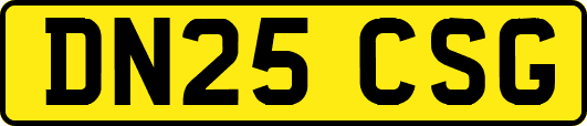 DN25CSG