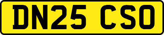 DN25CSO