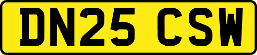 DN25CSW