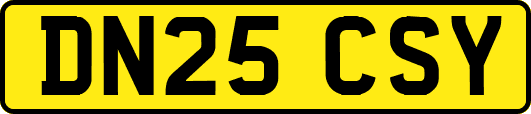 DN25CSY
