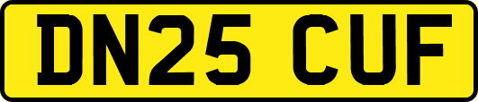 DN25CUF