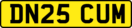 DN25CUM