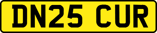 DN25CUR